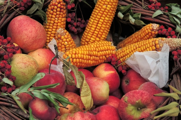 hansbenn-thanksgiving-1709884.jpg